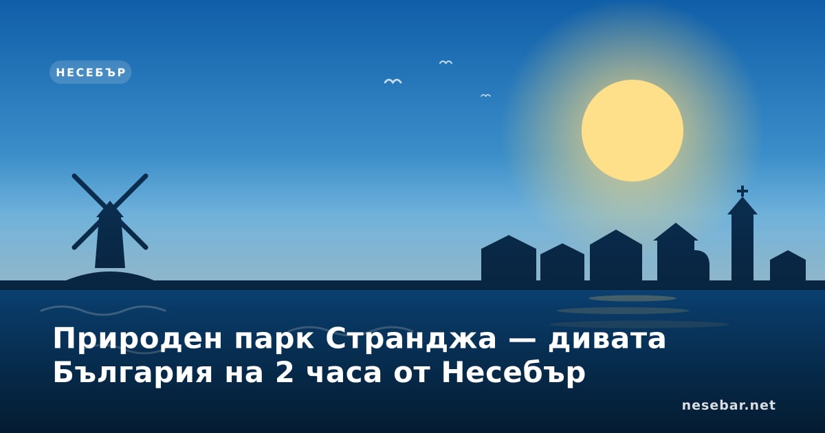 Природен парк Странджа — дивата България на 2 часа от Несебър